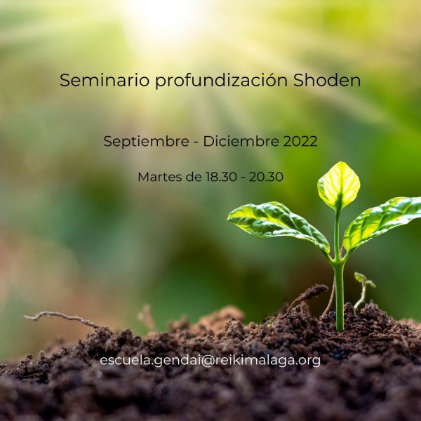 Seminario de trabajo de Shoden (nivel I de Gendai Reiki Ho)