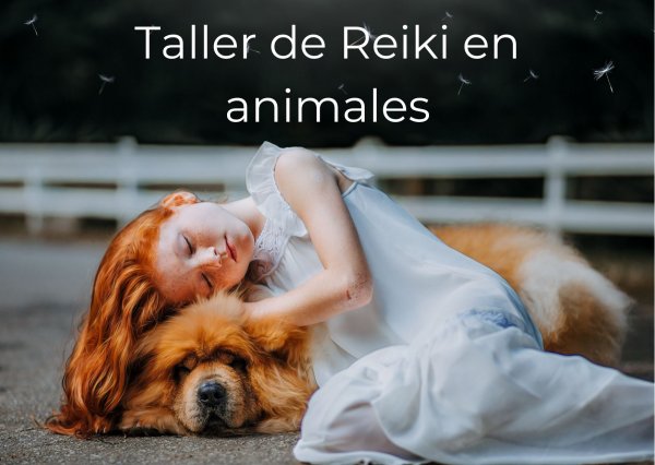 Taller de Reiki en animales